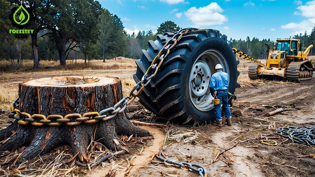Extreme Dangerous Fastest Big Chainsaw Cutting Tree Machines | Monster Stump Removal Excavator #77