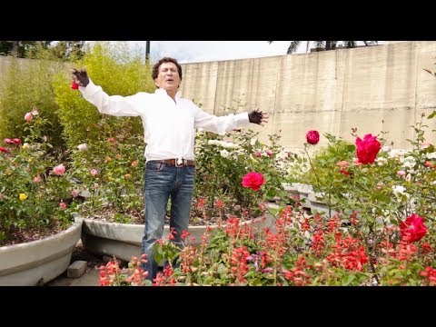 Mosaico “Vivirás” - Orquesta Los Graduados De Gustavo "El Loko" Quintero [Video Oficial]