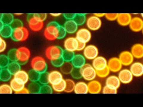 Alvaro Amici - Na gita a li castelli (nannì).wmv