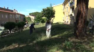 decoro-urbano-ecco-l-esempio-degli-abitanti-di-rione-rodegher-ad-ariano