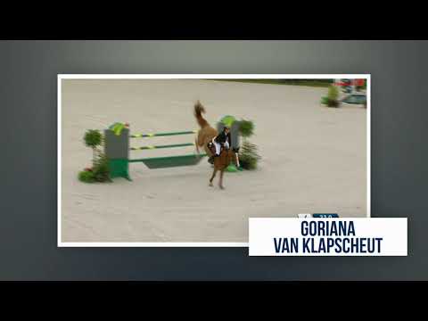 24. Embryo by CORNET OBOLENSKY X Goriana vd Klapscheut by VIGO D'Arsouille www.bwfa.be