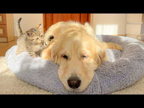 YouTube 썸네일