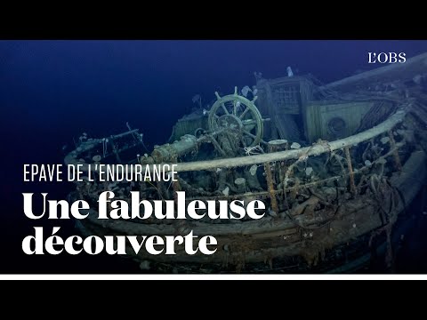 Les splendides images sous-marines du navire d'Ernest Shackleton retrouvé en Antarctique