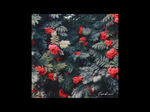 Raffiness X Joe Hennessy - Altkleiderkontainer