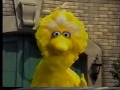 Sesame Street Part Of The 3294 New HD