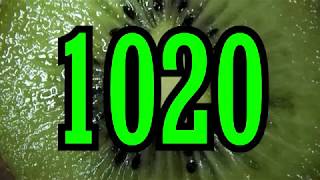 1000 Calorie Meal Plan (Low Carbs)