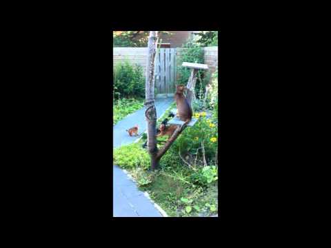 Aruna Just Do It finds out what water is