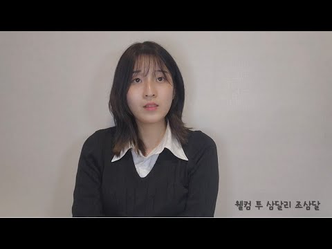 비디오 5