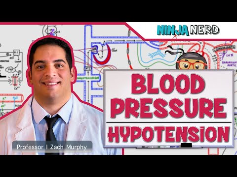 Cardiovascular | Blood Pressure Regulation | Hypotension