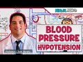 Cardiovascular | Blood Pressure Regulation | Hypotension