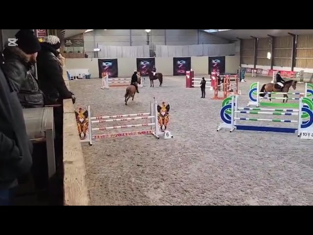 Show Class movie Comix Farani Z (Camargo x Kannan).