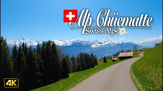 Stunning Swiss Alps🇨🇭 Driving from Wilderswil to Alp Chüematte