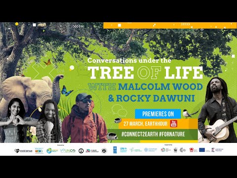 Conversations under the tree of life with Rocky Dawuni, Malcolm Wood, and GYBN.