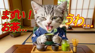 🐱🍵 ねこのネコが営むティーショップ物語｜かわいいお茶屋さんの一日と癒しストーリー 💖