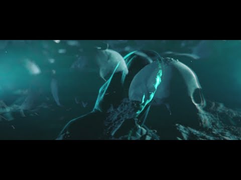 Αδέσποτο - 8 στις 10 (Official video)