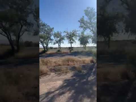 camp lot and driveway