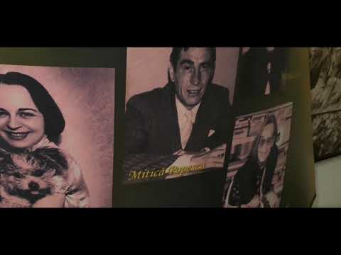 4K MEMORIALUL VICTIMELOR COMUNISMULUI SI A REZISTENTEI SIGHETUL MARMATIEI: 366/267 Stella si istoria