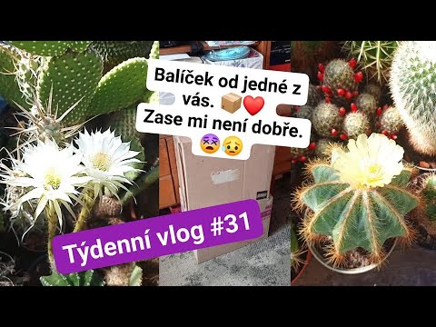Týdenní vlog #31 Balíček od jedné z vás. 📦❤️ Zase mi není dobře. 😵😥