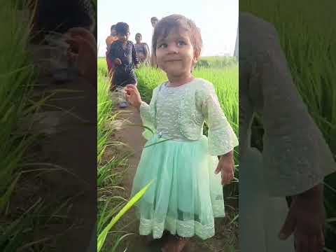 #nature #naturelovers #natural #naturephotography #viral #greenary