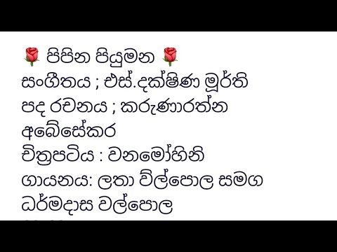 Pipena Piyuman song karaoke without voice. පිපෙන පියුමන්...