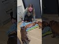 She Let Her Dogs Say Goodbye