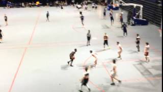 Gainesville team nets 2