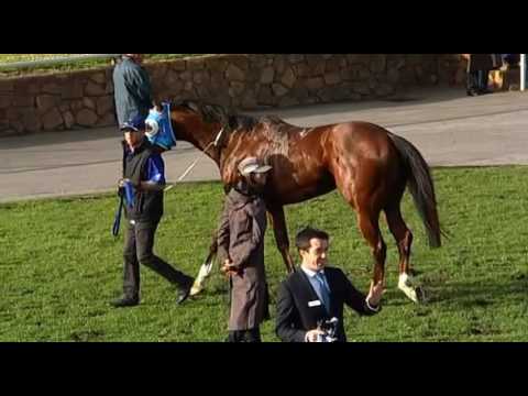 Belmont Park, 30/07/2016 - Race 7 - FIRST AMONG EQUALS - Simon Miller
