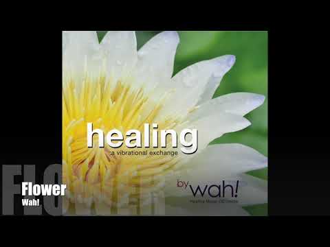 Wah! HEALING: A VIBRATIONAL EXCHANGE - Flower