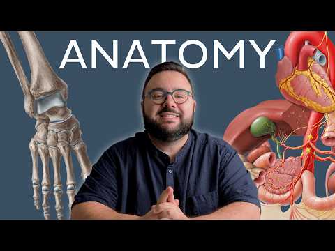 How to study Human anatomy: All you need to know | Kenhub