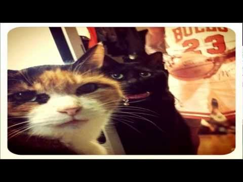 El Seano - Mike Wants To Be A Cat