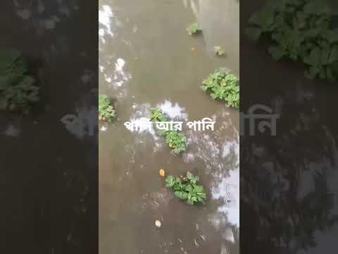 #cake #automobile #lifeisbutadream #campursari #vlog