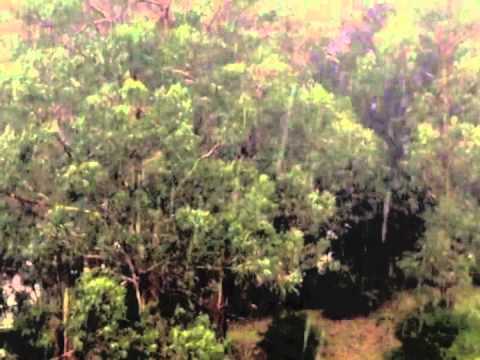 Chuva video