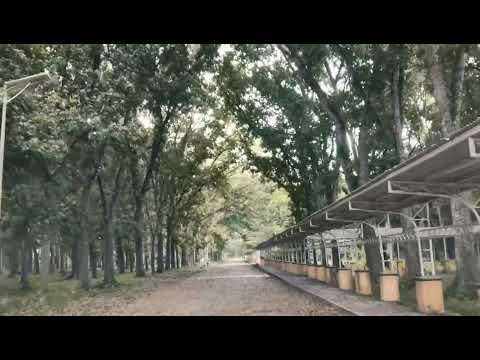 USM BELOVED #almamater