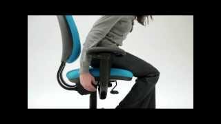 Criterion chair - adjustability
