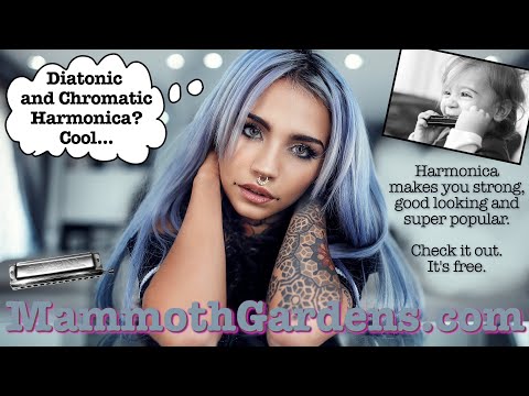 Diatonic and Chromatic Harmonica Class #150