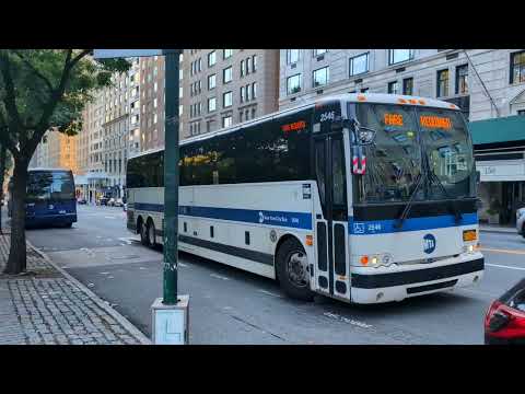 Sim4c Bus Schedule
