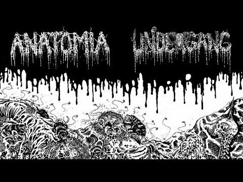 Anatomia & Undergang - Split LP (2022)