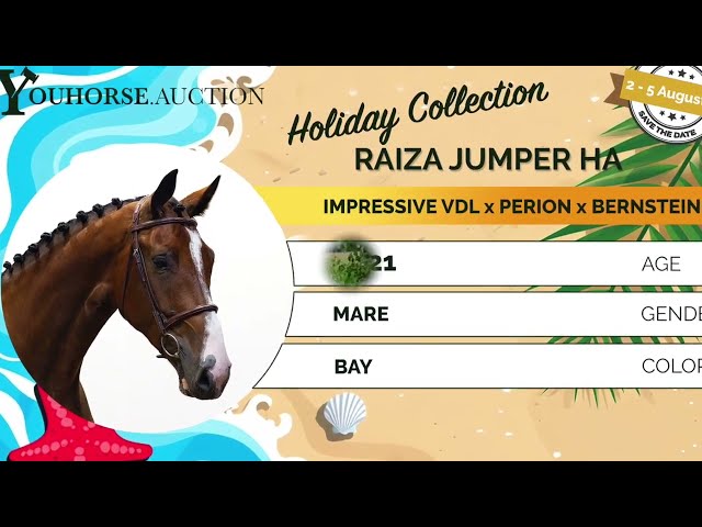 Raiza Jumper impression
