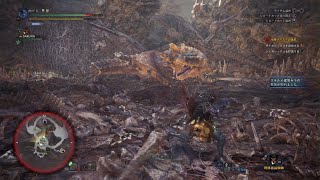 【MHW初心者】シヨートコント捕獲