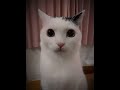 PURE NEGGA Cnv Sound Vol 14 Ultra Slowed