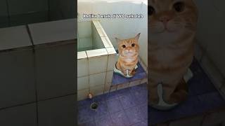 Download lagu siapa yang punya temen kek gini?🤣#pov #kucing #meme #memes #kucinglucu #memekucing mp3 Download lagu siapa yang punya temen kek gini?🤣#pov #kucing #meme #memes #kucinglucu #memekucing mp3
