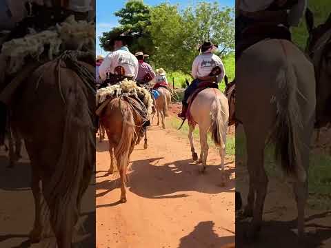 Cavalgada com os Amigos da região de Araçatuba passando por Guararapes #shorts