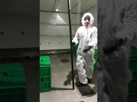 Супер звезда