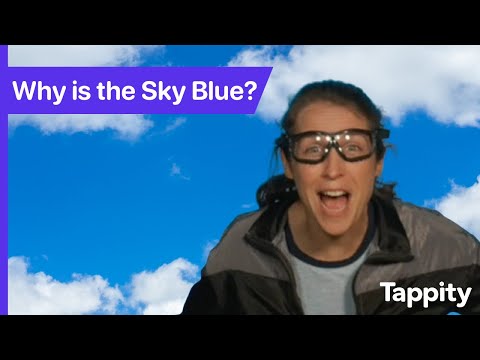 Why is the Sky Blue? | Weather for Kids | Ask Tappity: Science Questions & Answers