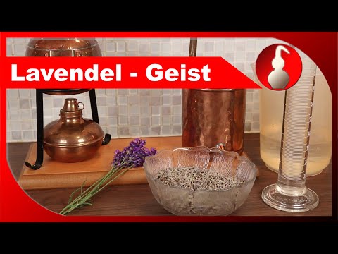 Lavendel-Geist - Lavendelblüten destillieren - Schnaps selber brennen - diSTILLed