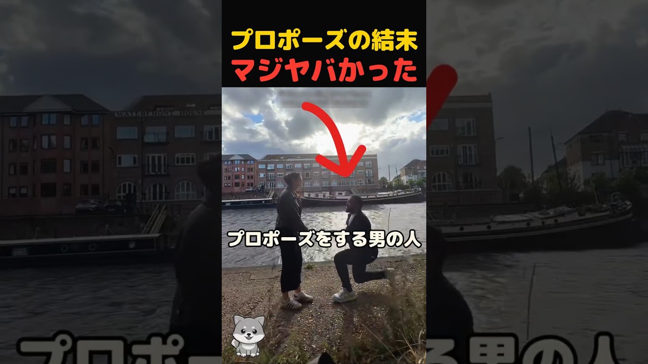 果たして彼女の心は動いたのか？