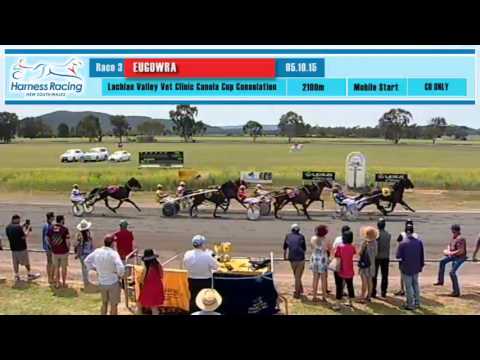 EUGOWRA - 05/10/2015 - Race 3 - LACHLAN VALLEY VETERINARY CLINIC CANOLA CUP CONSOLATION