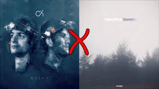 Camo &amp; Krooked X Misanthrop - Passion X Blurred (Mashup)