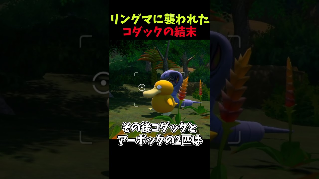 リングマに襲われたコダックの結末【New ポケモンスナップ】#ポケモン  #shorts