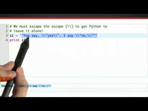 Building A Web Browser Programming Languages